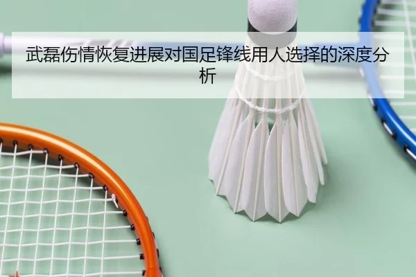 武磊伤情恢复进展对国足锋线用人选择的深度分析